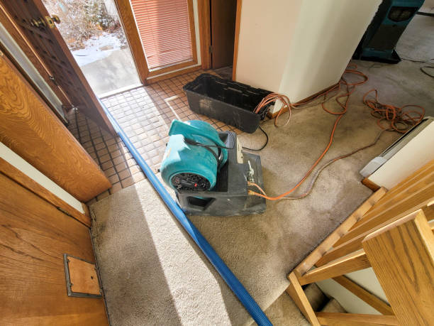 Best Ceiling and Wall Water Damage Repair in Somerville, TN